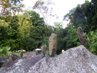 Mambukal