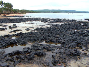 oil spill