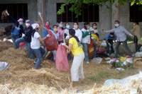 Volunteerism