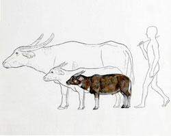 Ice Age Carabao