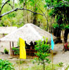 Cabilauan, New Lucena