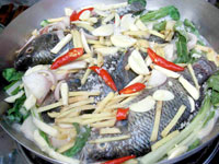 Exciting adobo creations