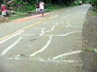 A concrete pavement that looks like a huge jigsaw puzzle, was how Vice Gov. Rolex Suplico describe this road in San Dionisio, Iloilo.