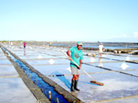 For salt farmers in Brgy. Napnud, Leganes, Iloilo the clear blue skies apparently brought by El Niño is an advantage in their production of raw salt.